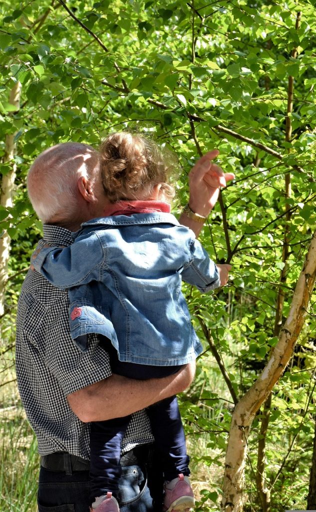 grandfather-grandson-family-grandpa-4217369 grandfather, grandson, family, grandpa, together, generation, love, happy, forest, tree, nature, play, bond, grandfather, grandfather, grandfather, grandfather, grandfather, grandpa, grandpa, grandpa, grandpa, grandpa, generation